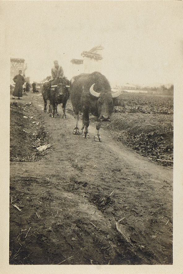 1920年中国青岛、南京、香港等黑白照片9